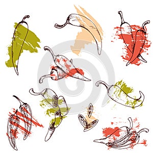 Vector clip art set of chili peppers. isolated Red vegetables on white background with brush strokes